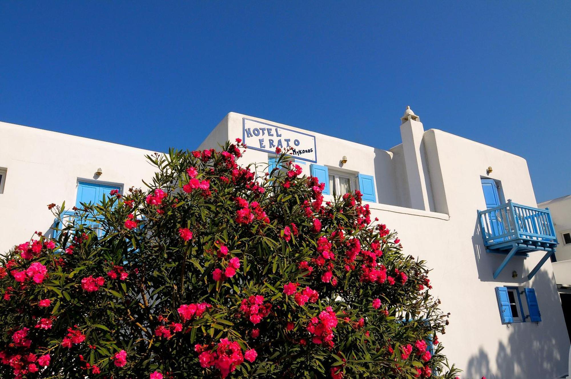 Erato Hotel Mykonos Ornos  Esterno foto